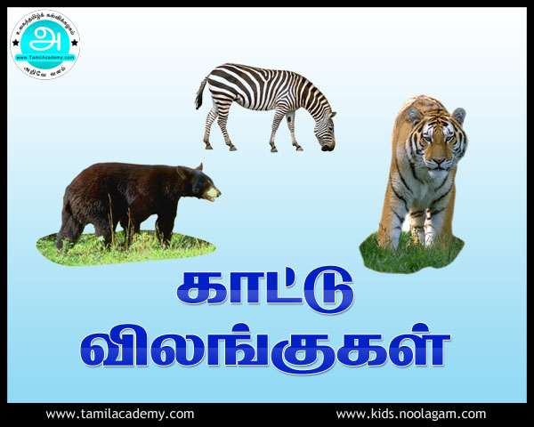 World Tamil Academy - animals - Lesson