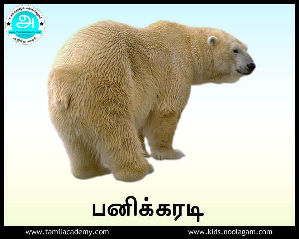 World Tamil Academy - animals - Lesson