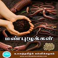 பாடங்கள்