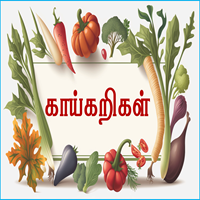 பாடங்கள்