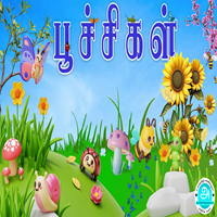 பாடங்கள்