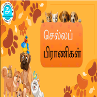 பாடங்கள்