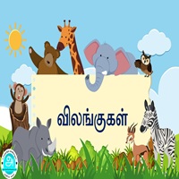 பாடங்கள்
