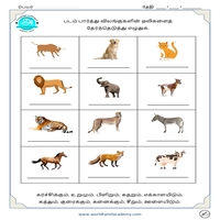 Sounds of Birds & Animals in Tamil | Study Sounds in Tamil | Tamil Sounds  Worksheets | Tamil Sounds Printables