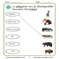 Wild animals Tamil | Tamil Wild animals with pictures | Wild animals Tamil  List | Online Tamil for Massachusetts Kids